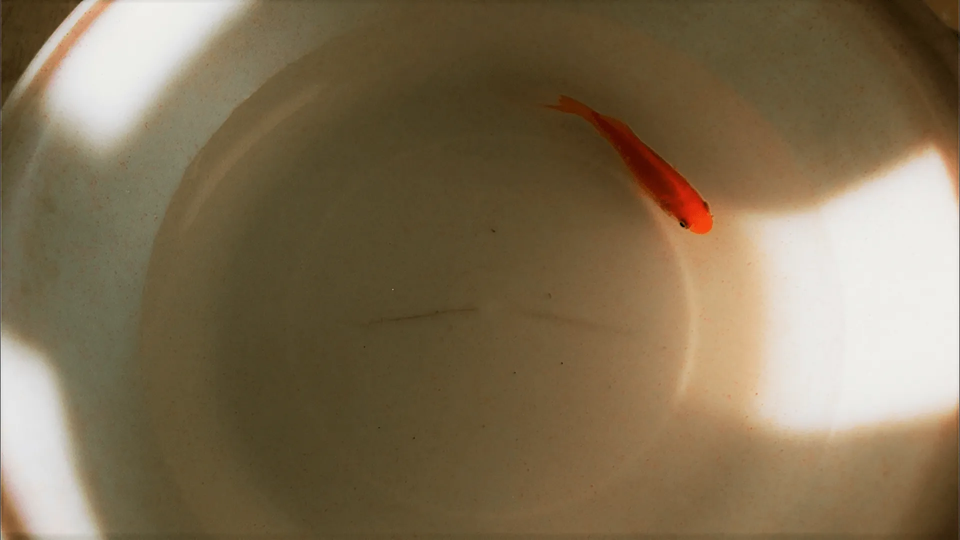 the-power-of-kangwon-province-review-cover